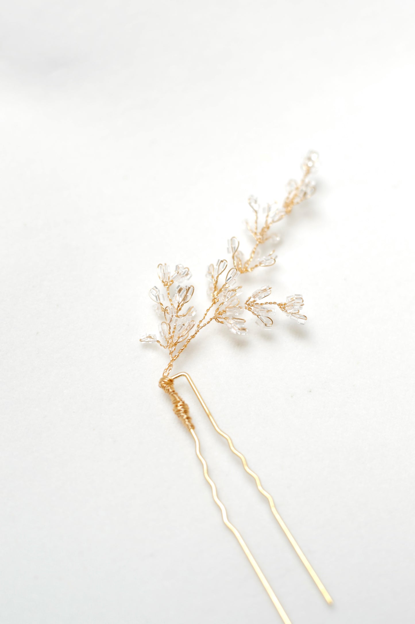 Lavande Pin